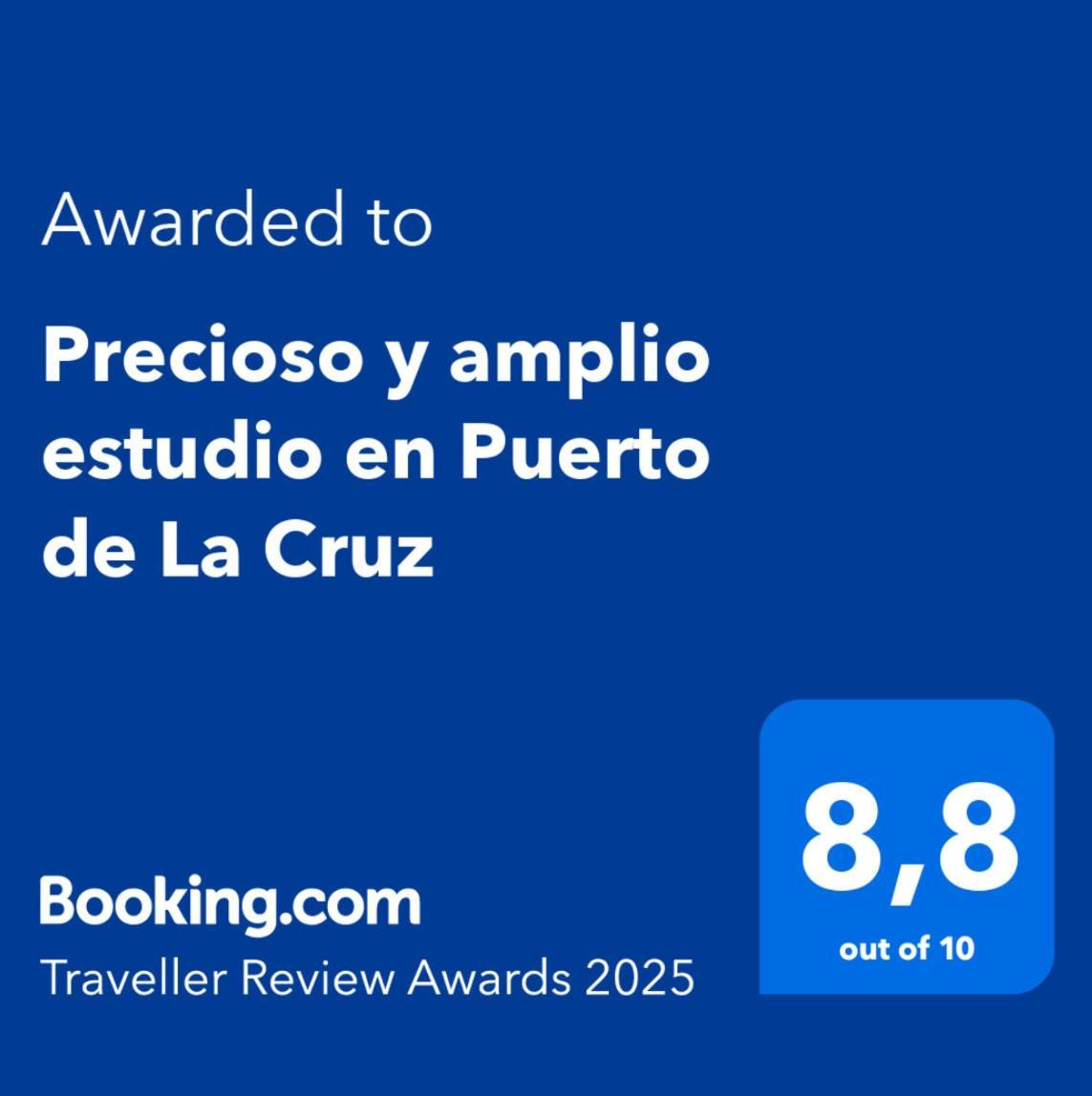 Leilighet Precioso Y Amplio Estudio En